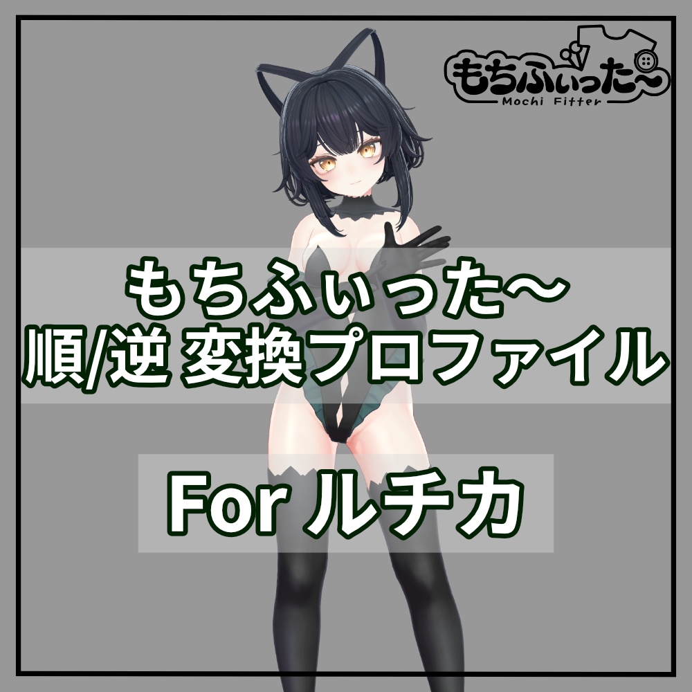 Mochi-fitta Profile for Forward/Reverse Conversion Lucica image