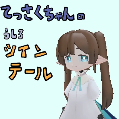 [ Model ] Tessaku-chan's back twin tails image