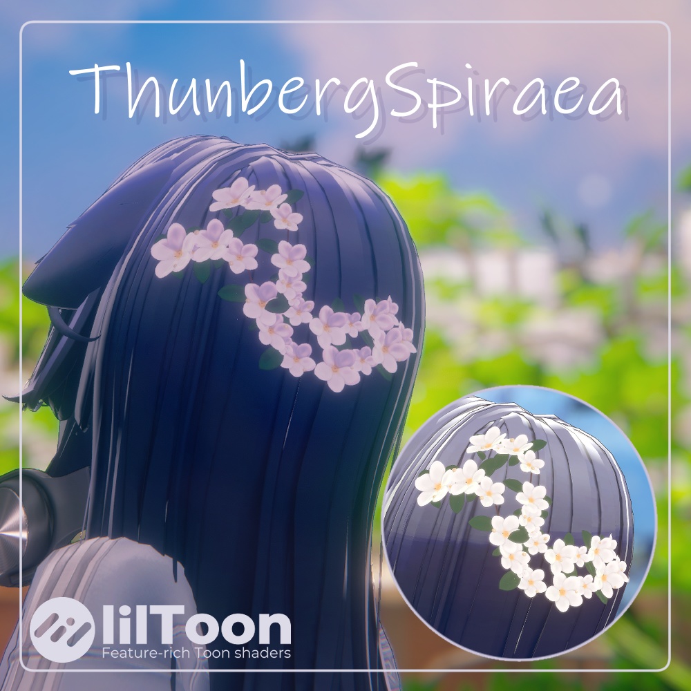 ThunbergSpiraea image