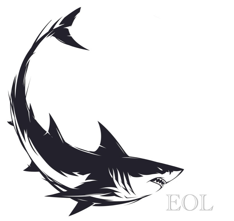 Echo of Light  – Shark Series image