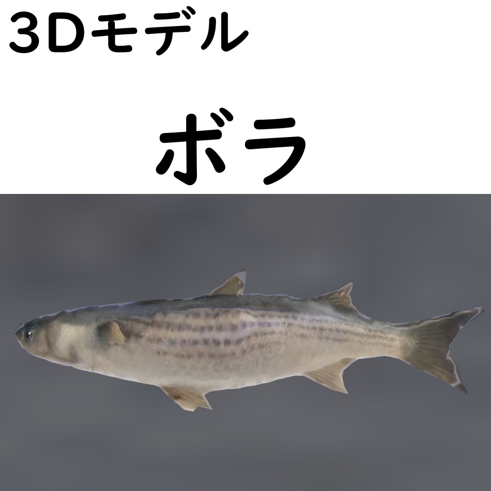 ボラ【VRChat想定】 image