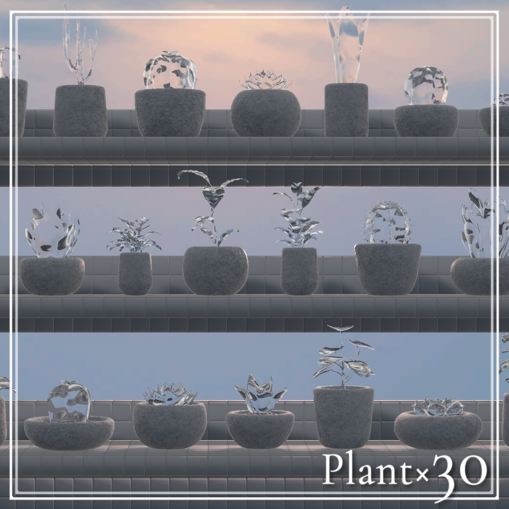 Plant×30 image