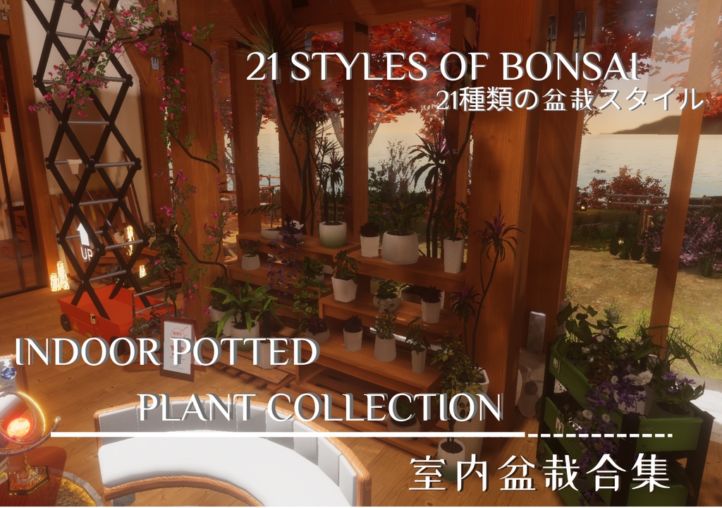 Indoor Potted Plant Collection--室内盆栽合集 image