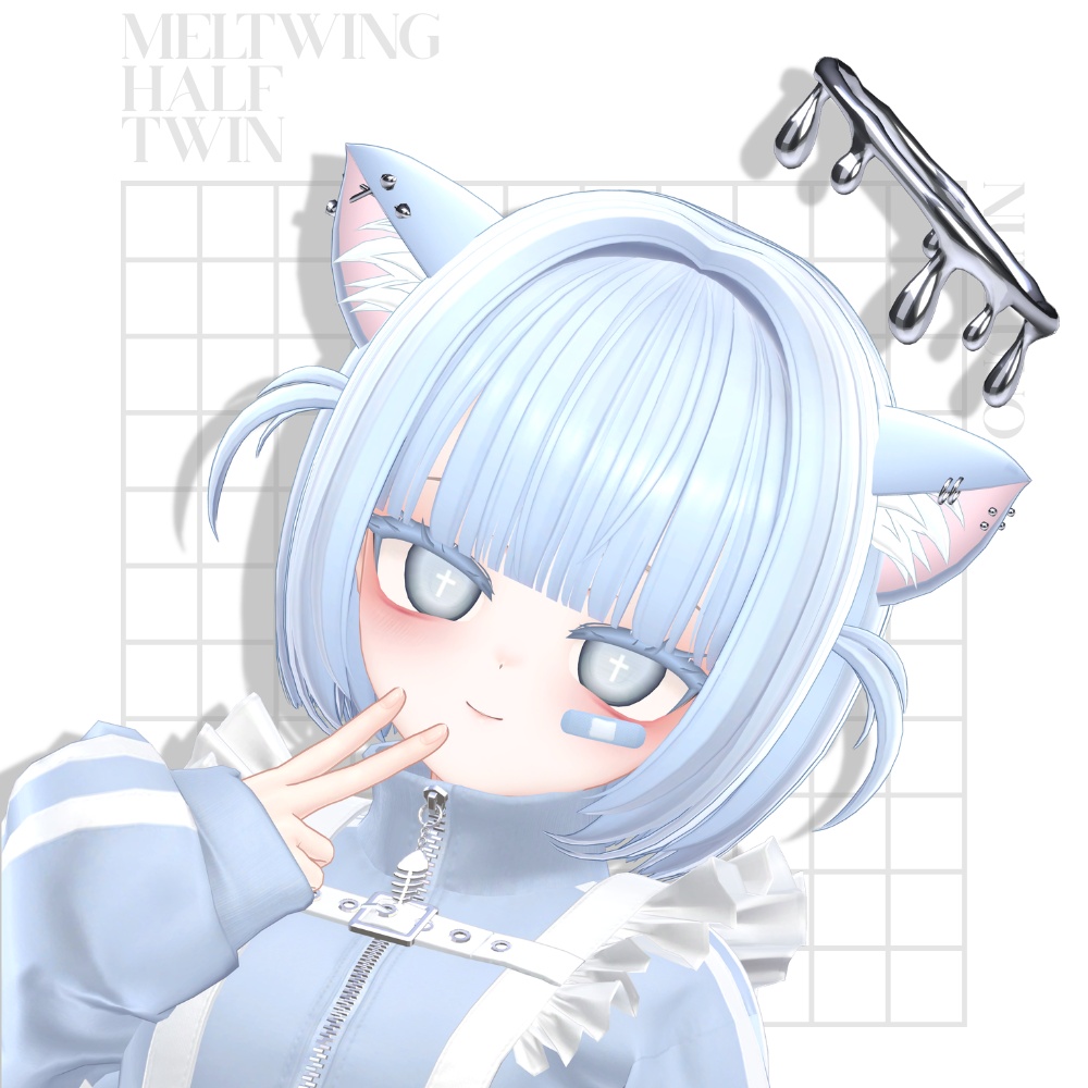 【14 Avatar】ʚ Meltwing half twin ɞ image
