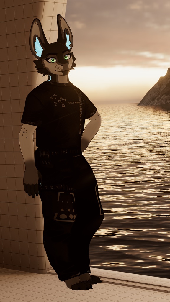 Waggan Mochifitter Profile もちふぃった～変換プロファイル image